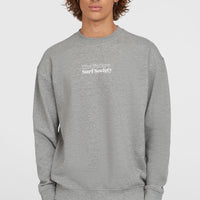 Sweatshirt Future Surf Crew | Silver Melee