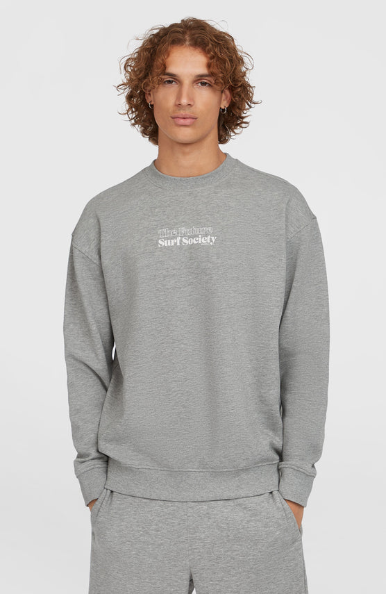 Sweatshirt Future Surf Crew | Silver Melee
