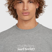 Sweatshirt Future Surf Crew | Silver Melee