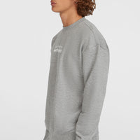 Sweatshirt Future Surf Crew | Silver Melee