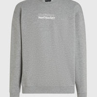 Sweatshirt Future Surf Crew | Silver Melee