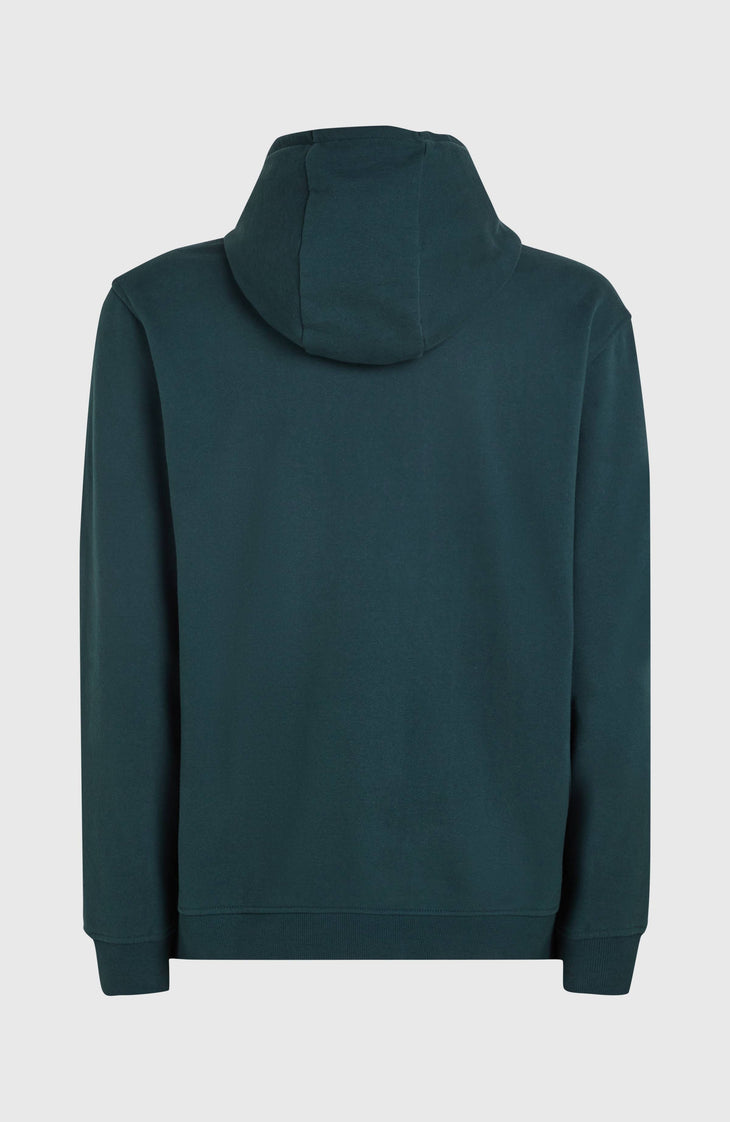 Sweat à capuche O'Neill Front Print | Alma Steel
