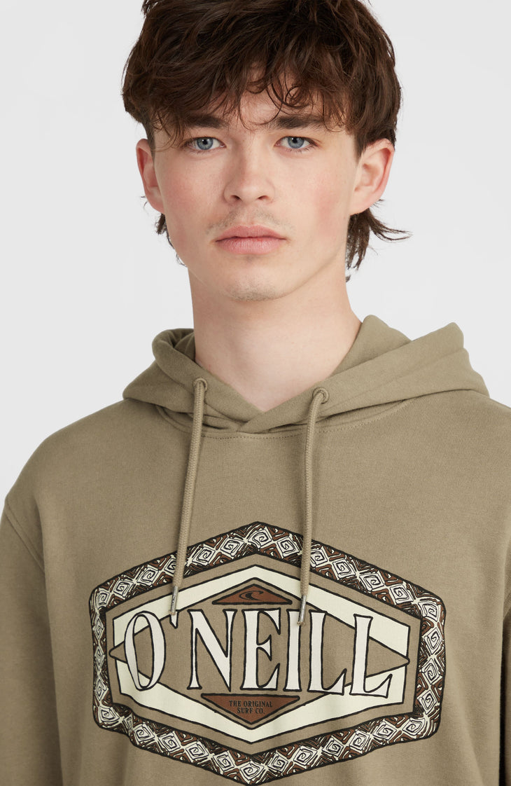 Sweat à capuche O'Neill Front Print | Concrete