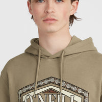 Sweat à capuche O'Neill Front Print | Concrete