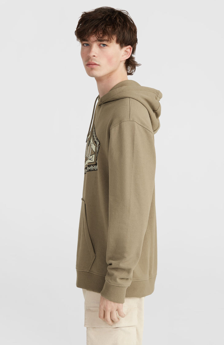 Sweat à capuche O'Neill Front Print | Concrete