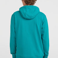 Sweat à capuche Graphic | Island Breeze