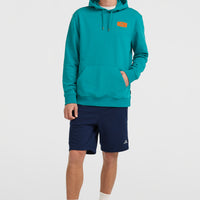 Sweat à capuche Graphic | Island Breeze