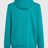 Sweat à capuche Graphic | Island Breeze