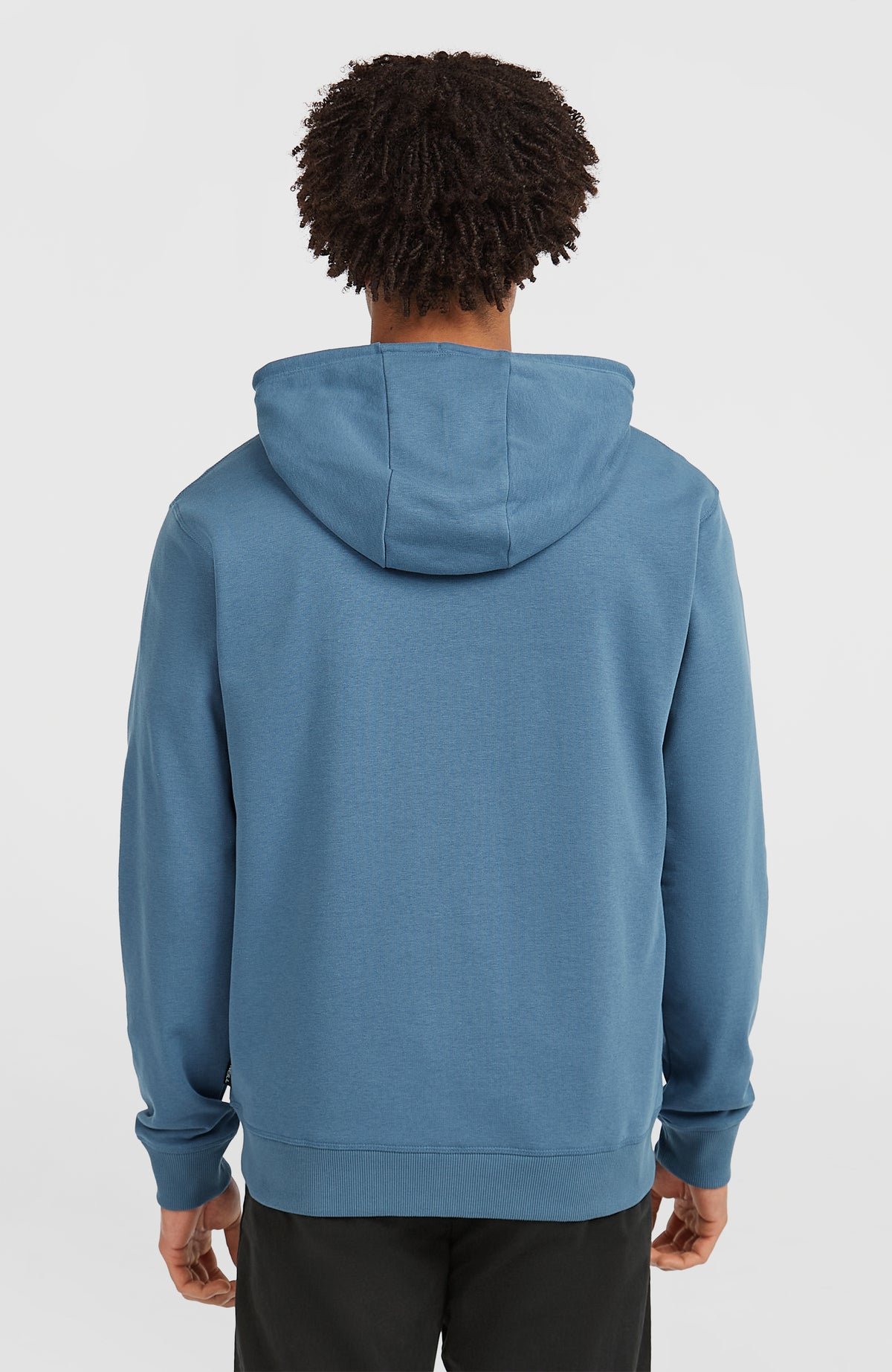 Sweat à capuche et zip intégral Small Logo | Mozart Blue