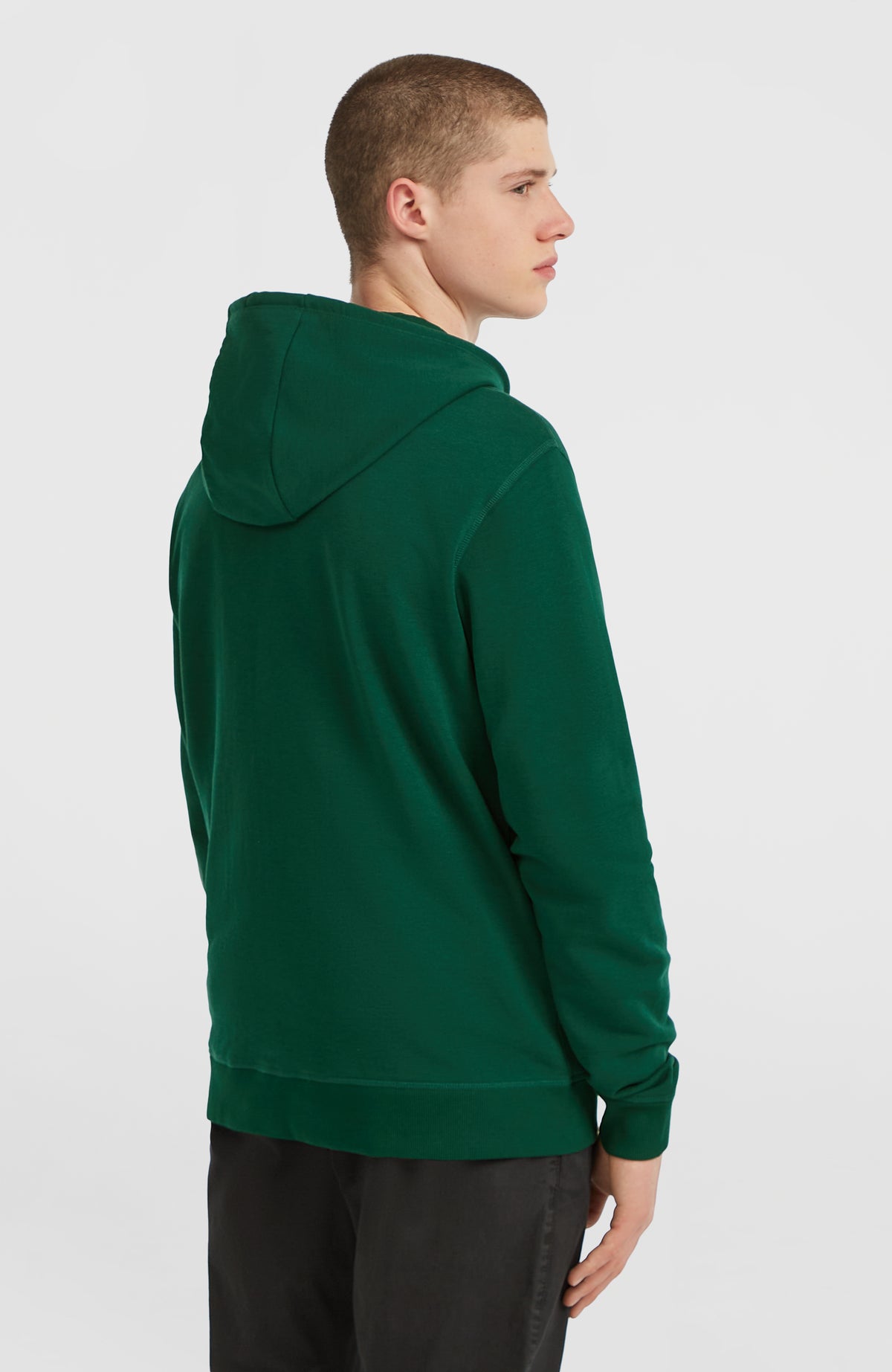 Sweat à capuche et zip intégral Small Logo | Emerald Envy