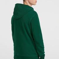 Sweat à capuche et zip intégral Small Logo | Emerald Envy