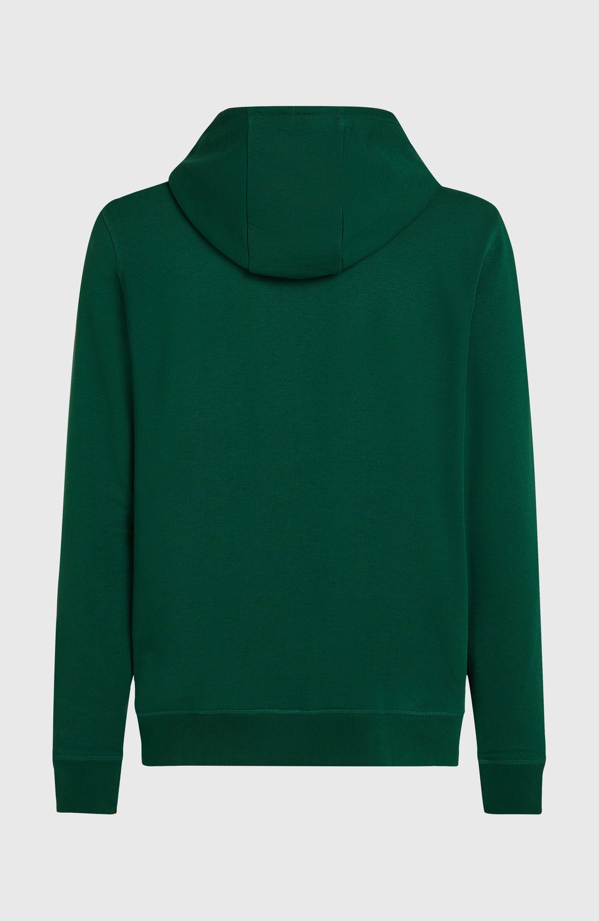 Sweat à capuche et zip intégral Small Logo | Emerald Envy