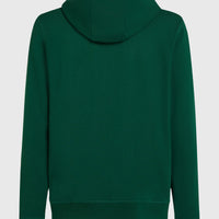 Sweat à capuche et zip intégral Small Logo | Emerald Envy