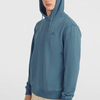 Sweat à capuche Small Logo | Mozart Blue