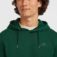 Sweat à capuche Small Logo | Emerald Envy