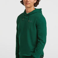 Sweat à capuche Small Logo | Emerald Envy