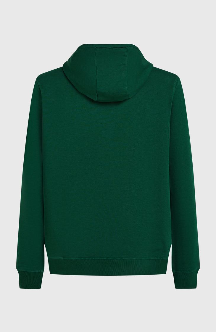 Sweat à capuche Small Logo | Emerald Envy