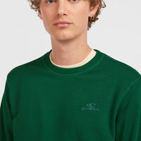 Sweatshirt à col rond Small Logo | Emerald Envy