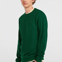 Sweatshirt à col rond Small Logo | Emerald Envy