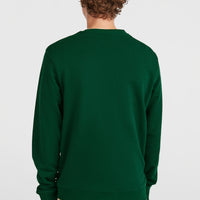 Sweatshirt à col rond Small Logo | Emerald Envy