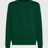 Sweatshirt à col rond Small Logo | Emerald Envy