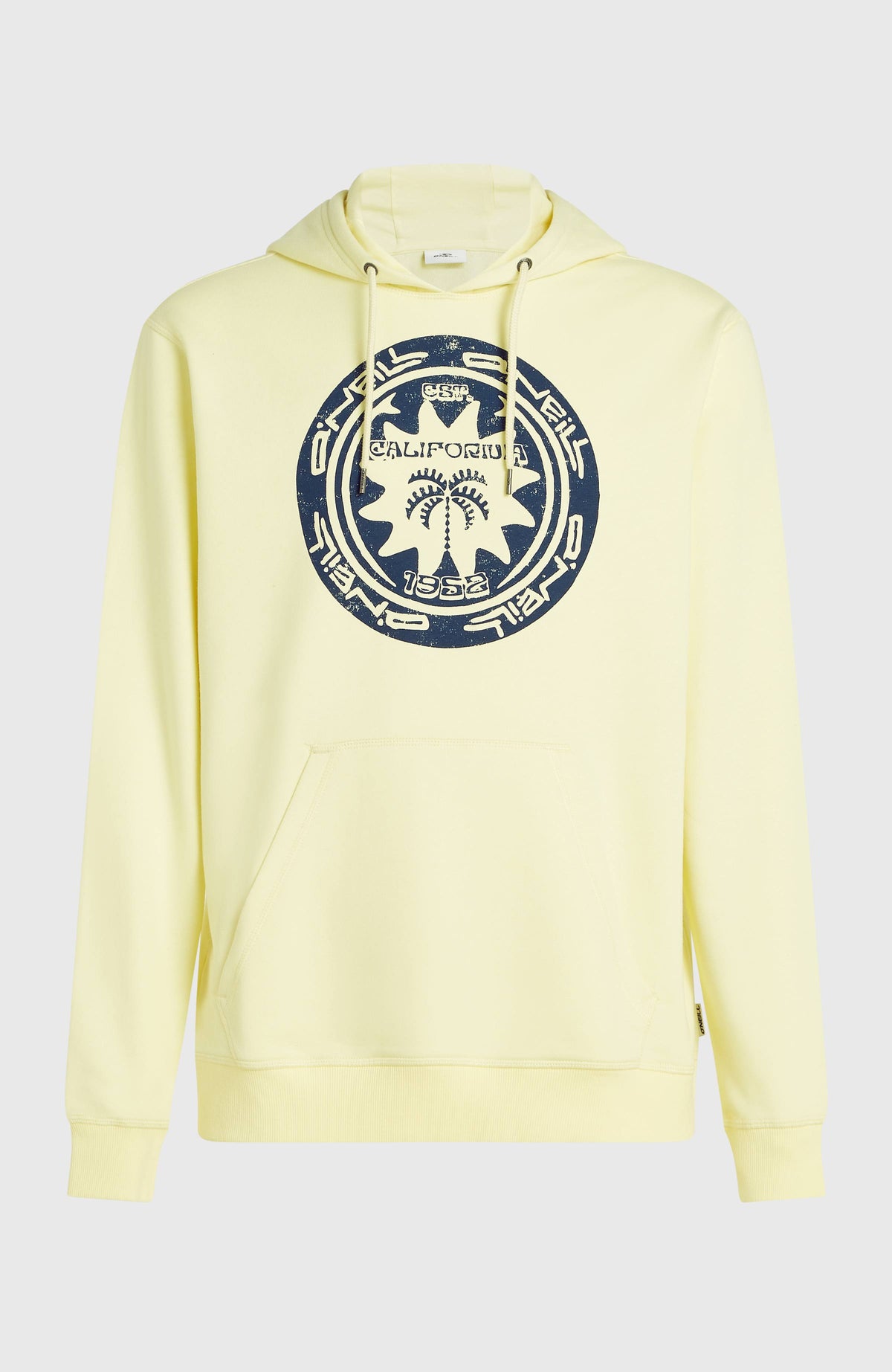 Sweat à capuche O'Neill Must-Have Graphic | Rainforest Dew