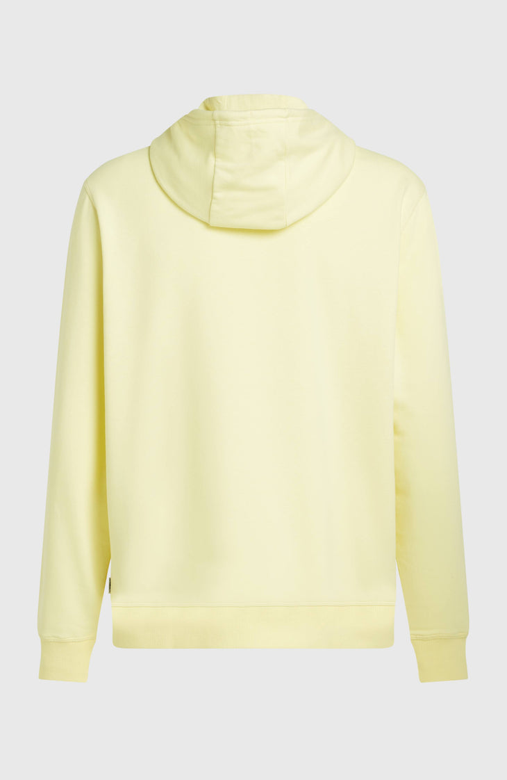 Sweat à capuche O'Neill Must-Have Graphic | Rainforest Dew