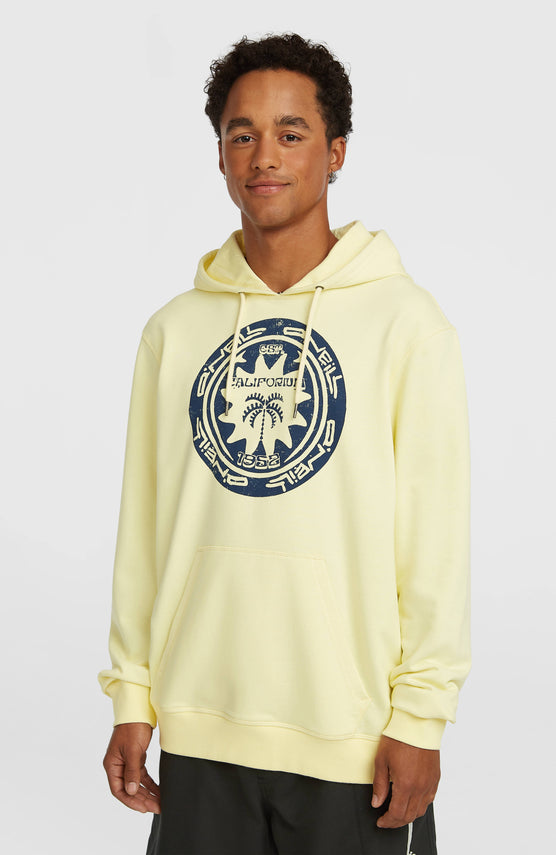 Sweat à capuche O'Neill Must-Have Graphic | Rainforest Dew