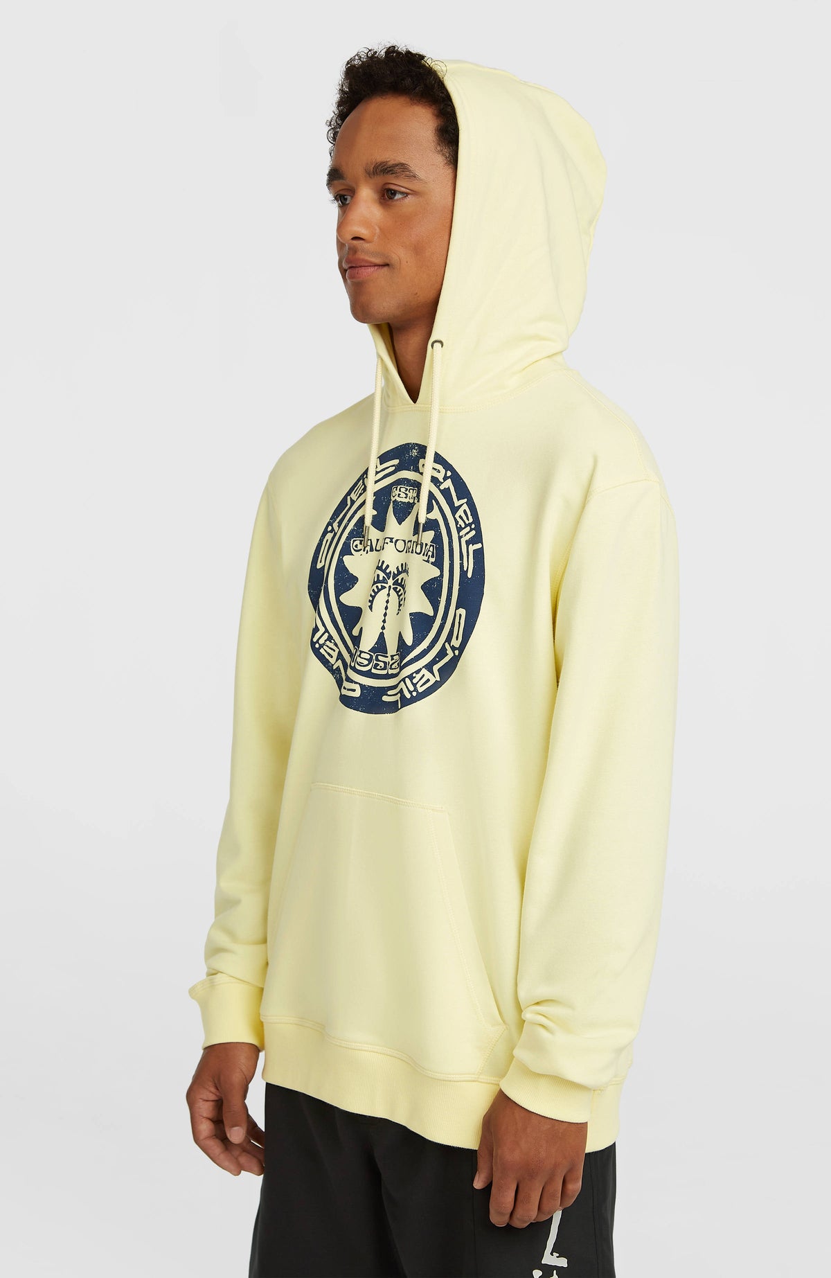 Sweat à capuche O'Neill Must-Have Graphic | Rainforest Dew