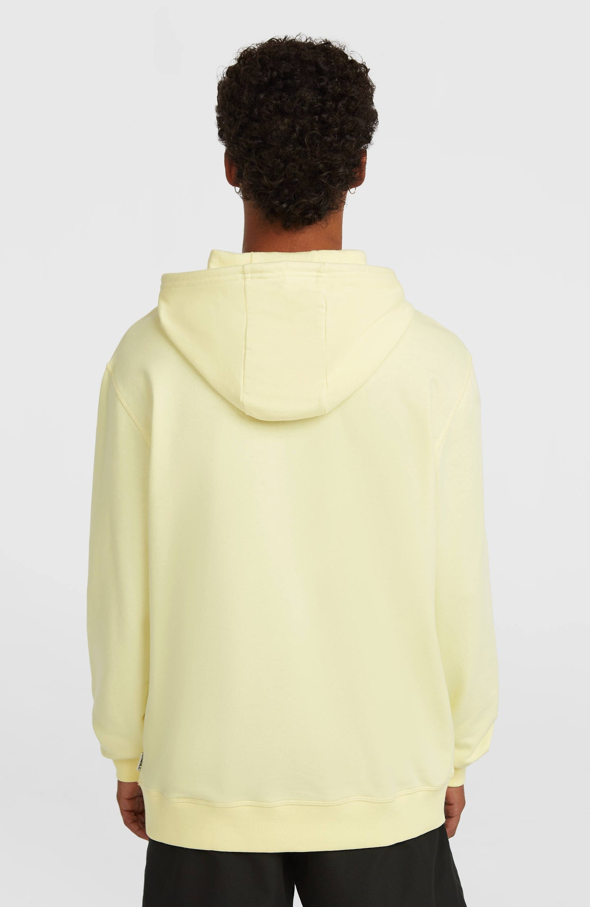 Sweat à capuche O'Neill Must-Have Graphic | Rainforest Dew