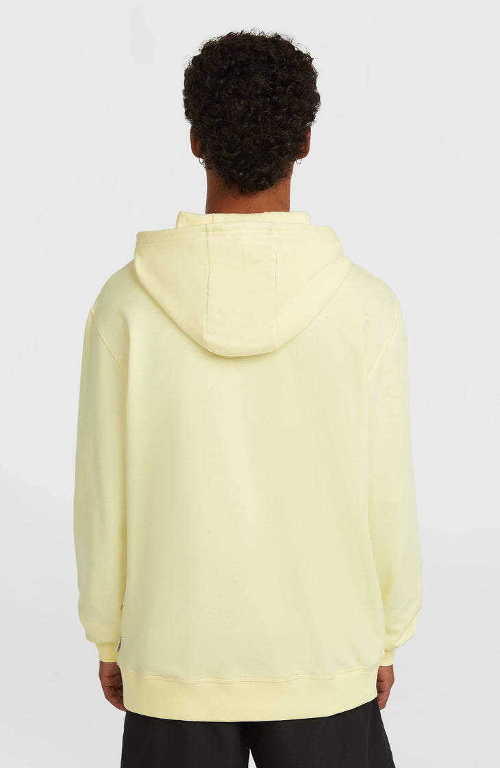 Sweat à capuche O'Neill Must-Have Graphic | Rainforest Dew