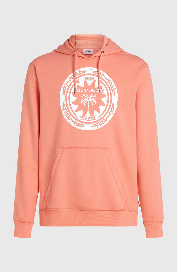 Sweat à capuche O'Neill Must-Have Graphic | Funky Peach
