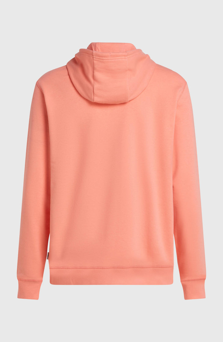 Sweat à capuche O'Neill Must-Have Graphic | Funky Peach