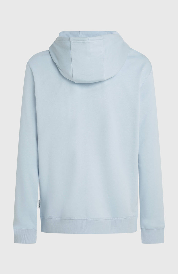 Sweat à capuche O'Neill Must-Have Graphic | Spindle