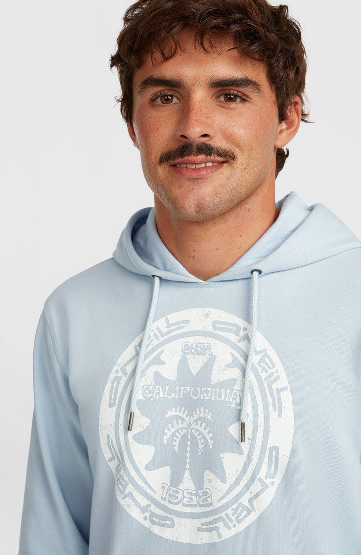 Sweat à capuche O'Neill Must-Have Graphic | Spindle
