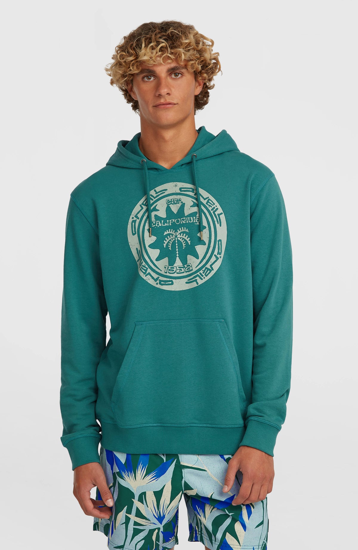 Sweat à capuche O'Neill Must-Have Graphic | Botanical Heat