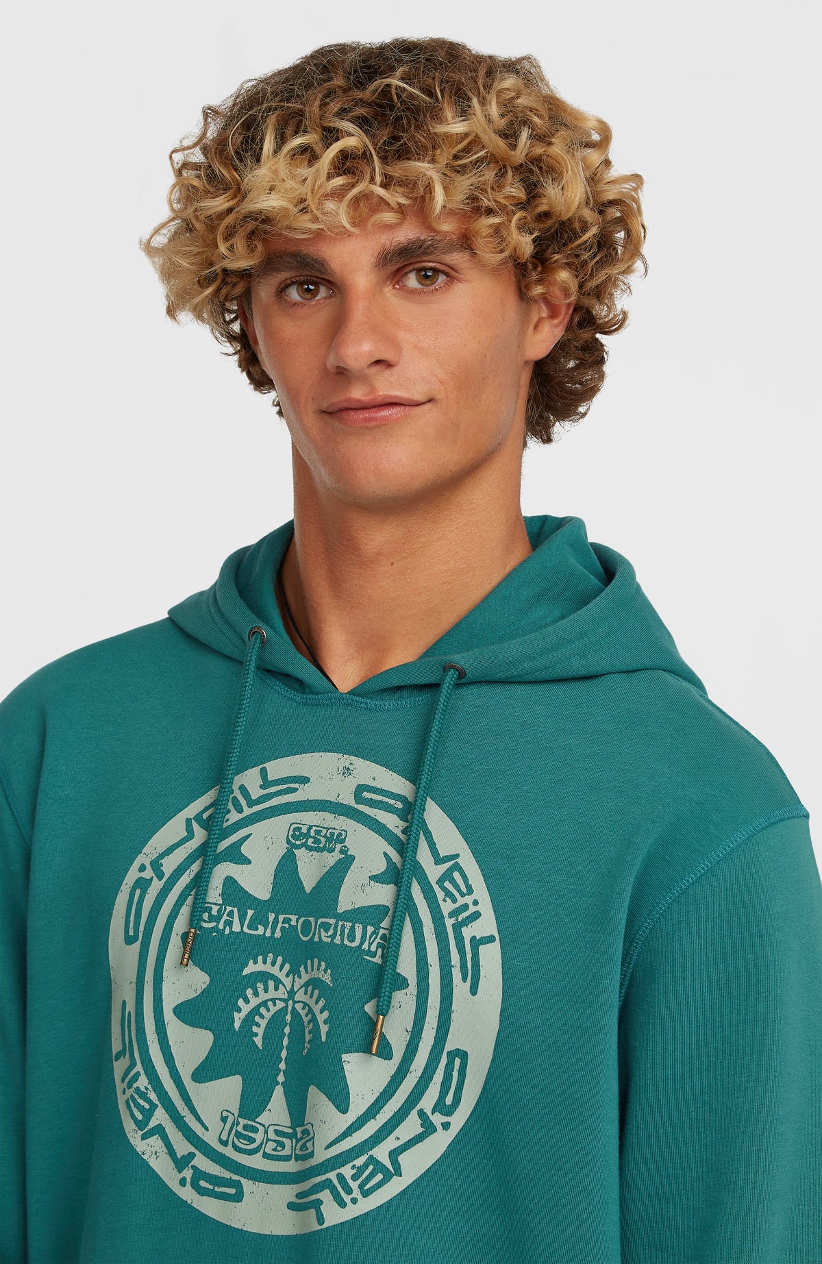 Sweat à capuche O'Neill Must-Have Graphic | Botanical Heat