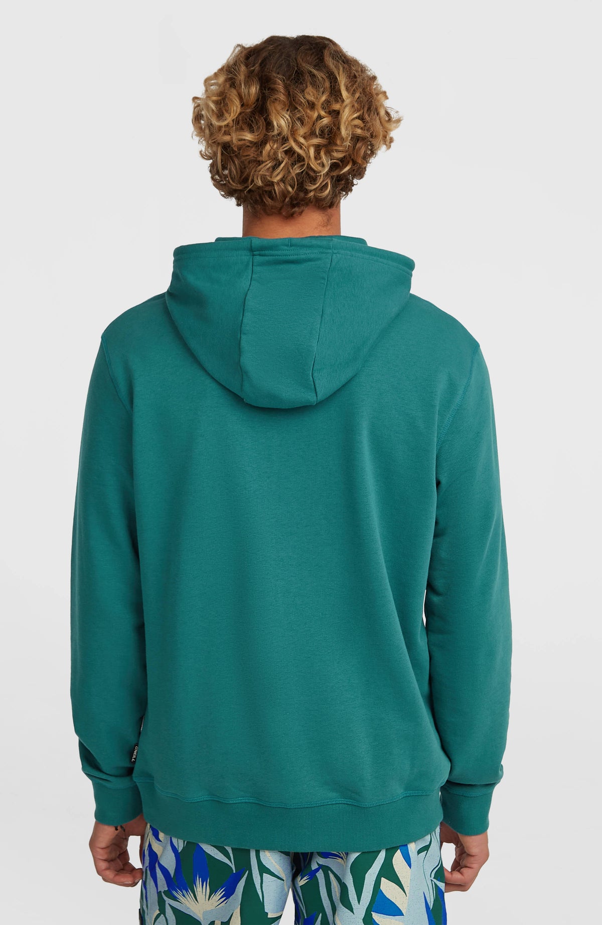 Sweat à capuche O'Neill Must-Have Graphic | Botanical Heat