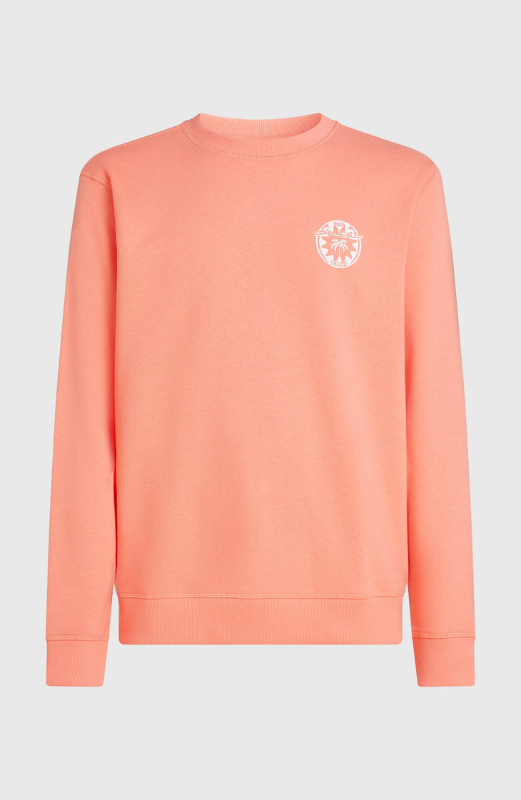 Sweatshirt O'Neill Must-Have Graphic Crew | Funky Peach