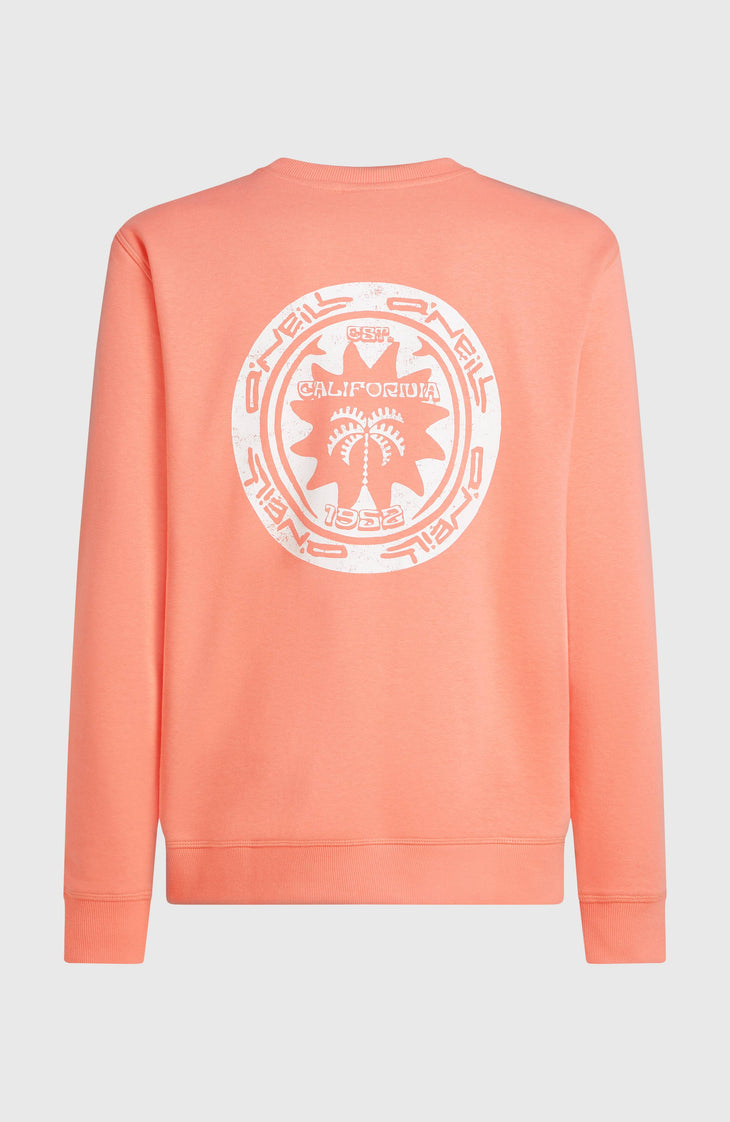 Sweatshirt O'Neill Must-Have Graphic Crew | Funky Peach