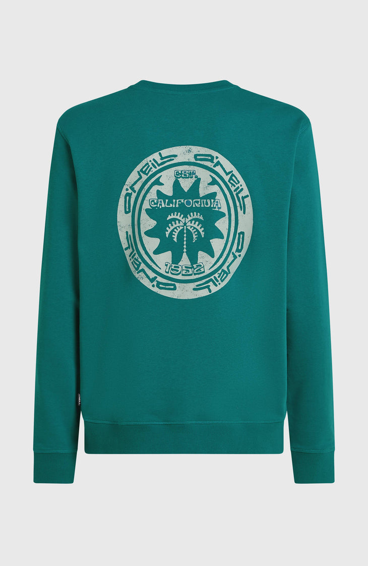 Sweatshirt O'Neill Must-Have Graphic Crew | Botanical Heat