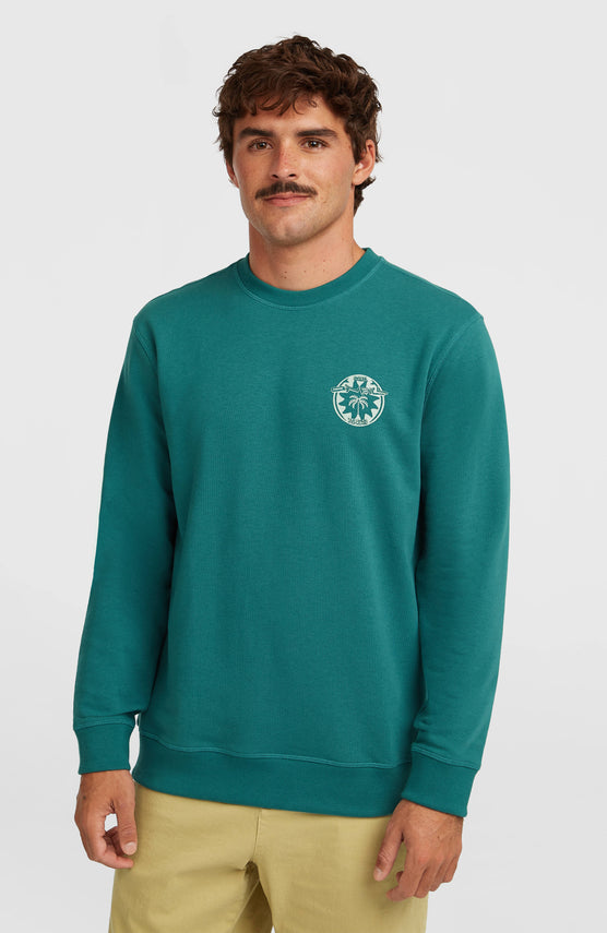 Sweatshirt O'Neill Must-Have Graphic Crew | Botanical Heat