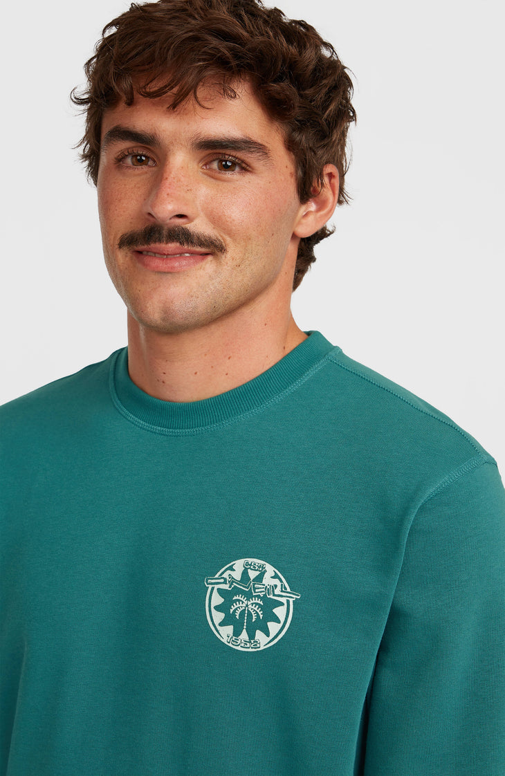 Sweatshirt O'Neill Must-Have Graphic Crew | Botanical Heat