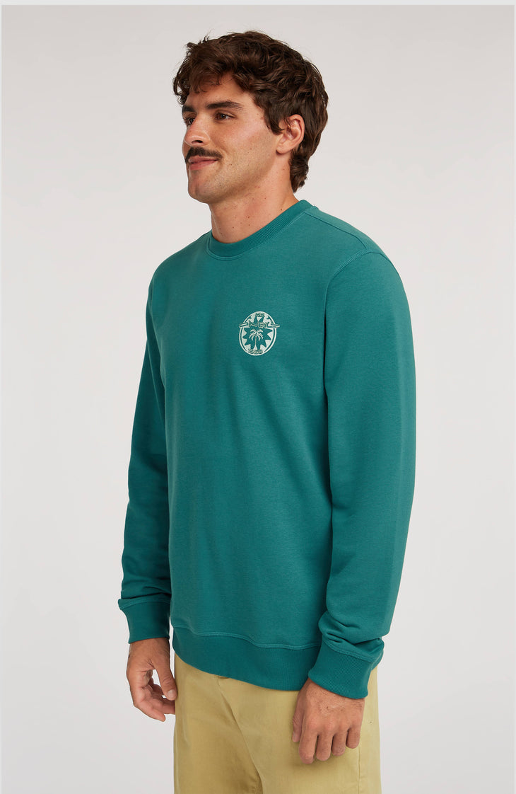 Sweatshirt O'Neill Must-Have Graphic Crew | Botanical Heat