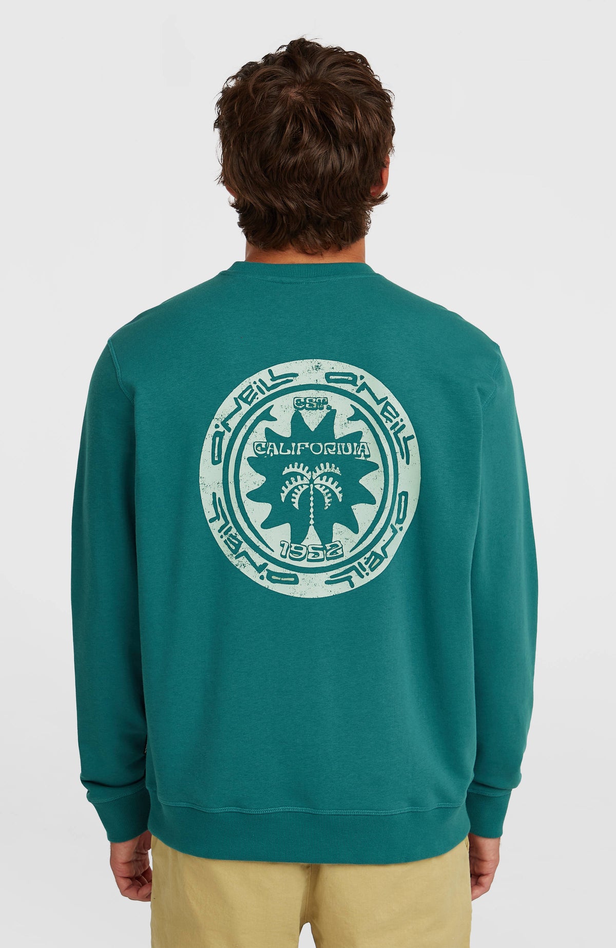 Sweatshirt O'Neill Must-Have Graphic Crew | Botanical Heat