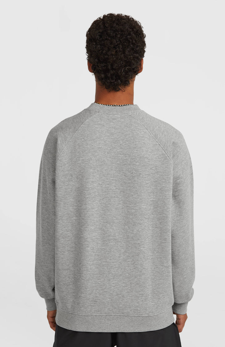 Sweatshirt à col rond Essentials 90s Logo | Silver Melee