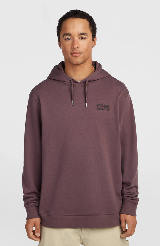 Sweat à capuche O'Neill Cali | Purple Gray