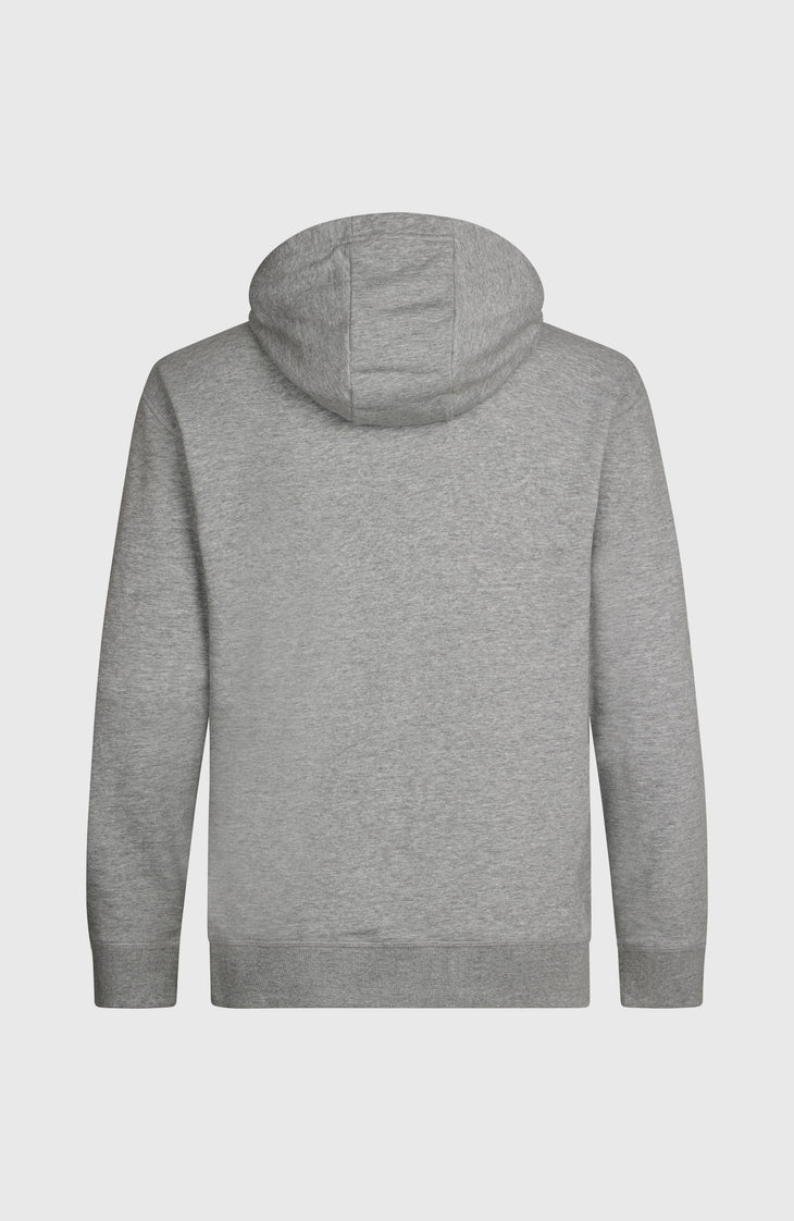 Sweat à capuche O'Neill Small Logo | Silver Melee