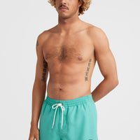 Short de bain Cali State 15 | Sea Green