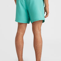 Short de bain Cali State 15 | Sea Green